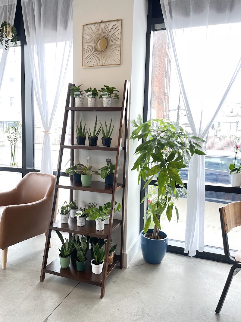 KANELA & CO. - COFFEE & PLANTS