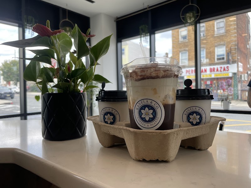 KANELA & CO. - COFFEE & PLANTS