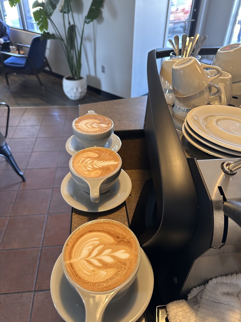 Dripolator Biltmore Village