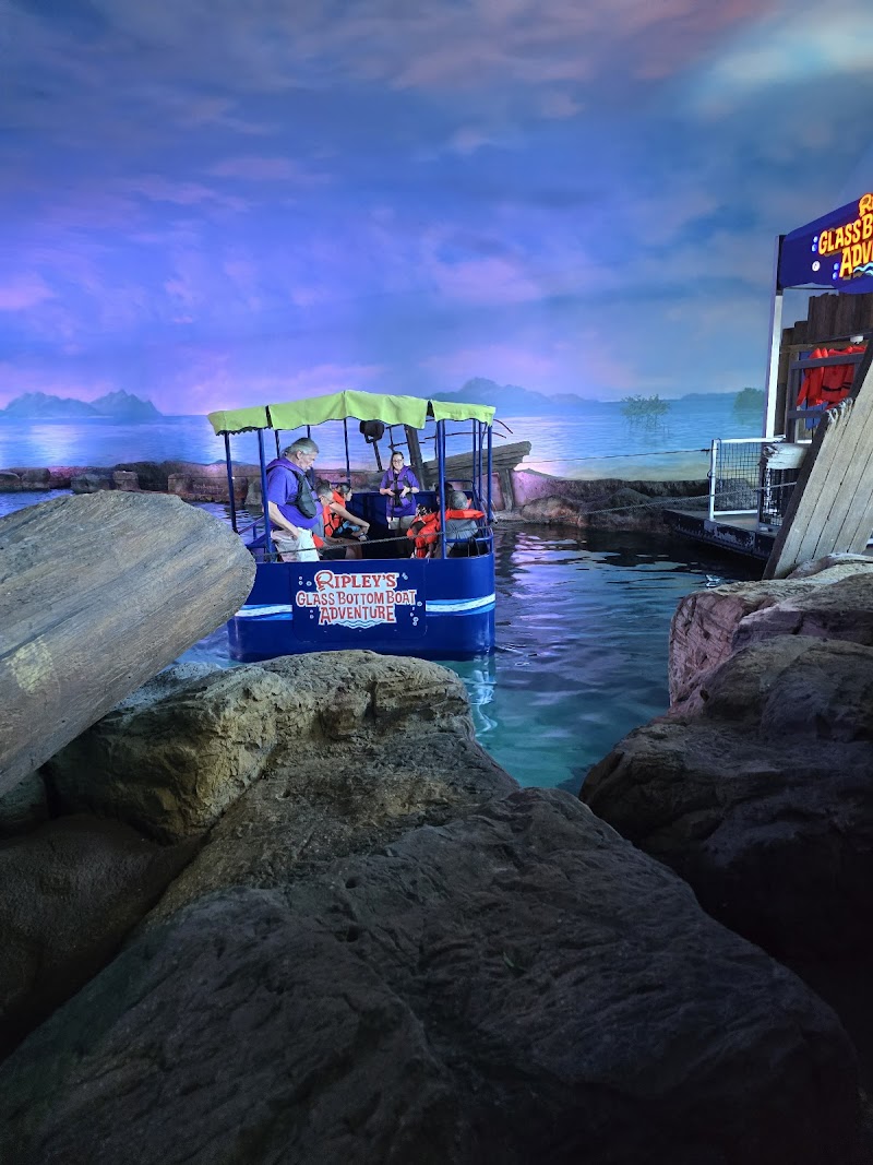 Ripley's Aquarium Cafe