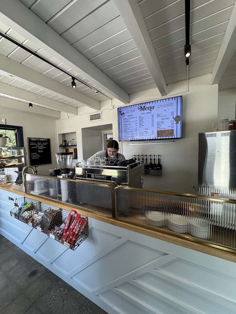 Southern Salt & Coffee Co.