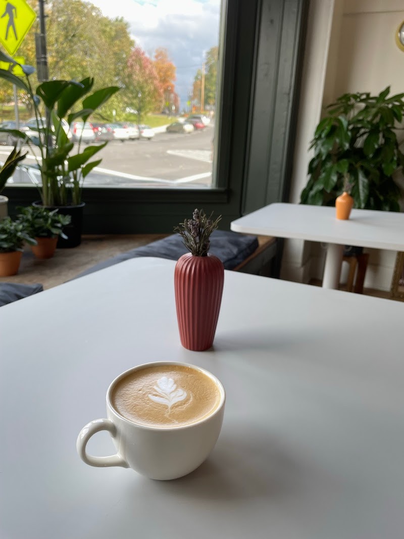 little seed COFFEE ROASTERS