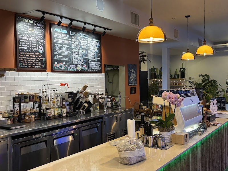 Los Hongos Cafe and Plant Bar