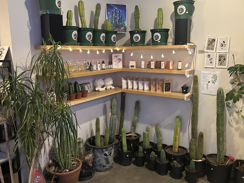 Los Hongos Cafe and Plant Bar