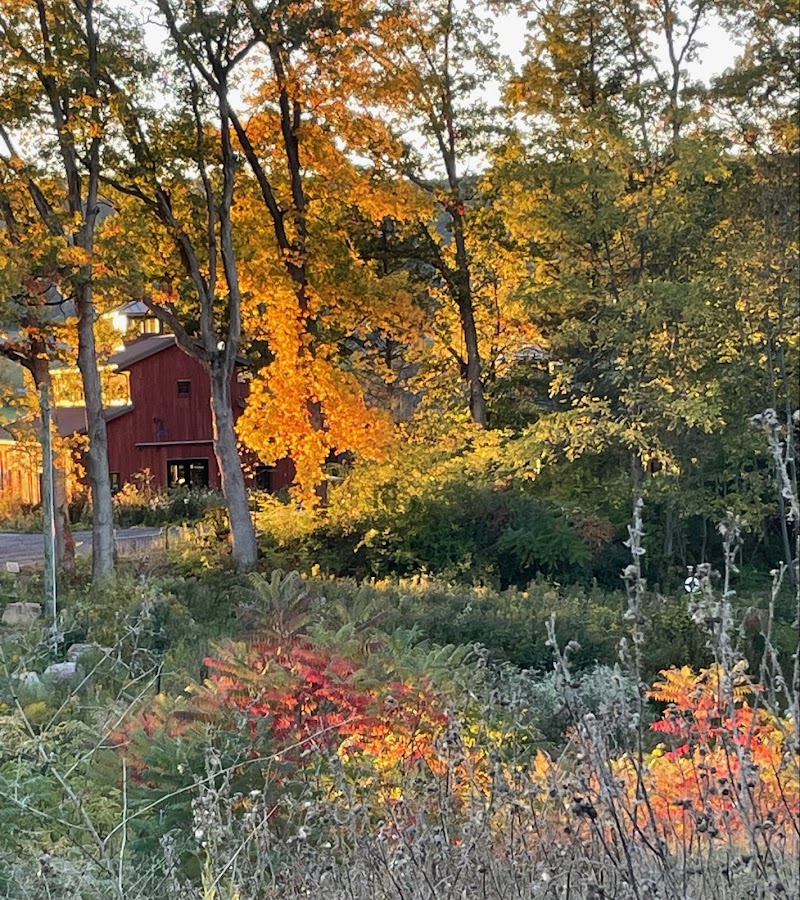 RE Farm Cafe at Windswept Farm