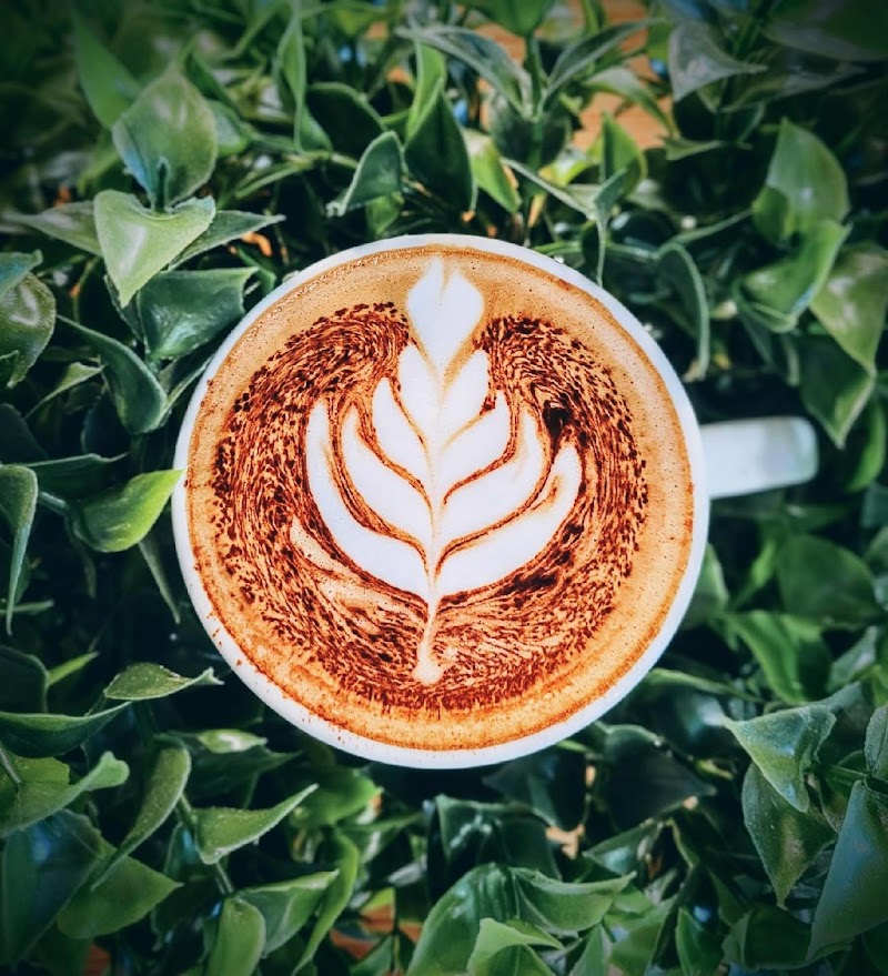 Basecamp Coffee Roasters