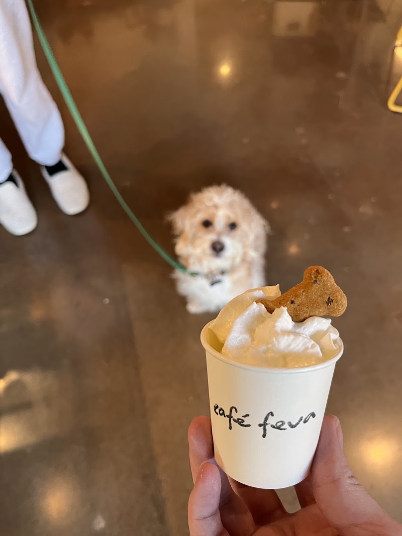 Feva Coffee Company- Café Feva