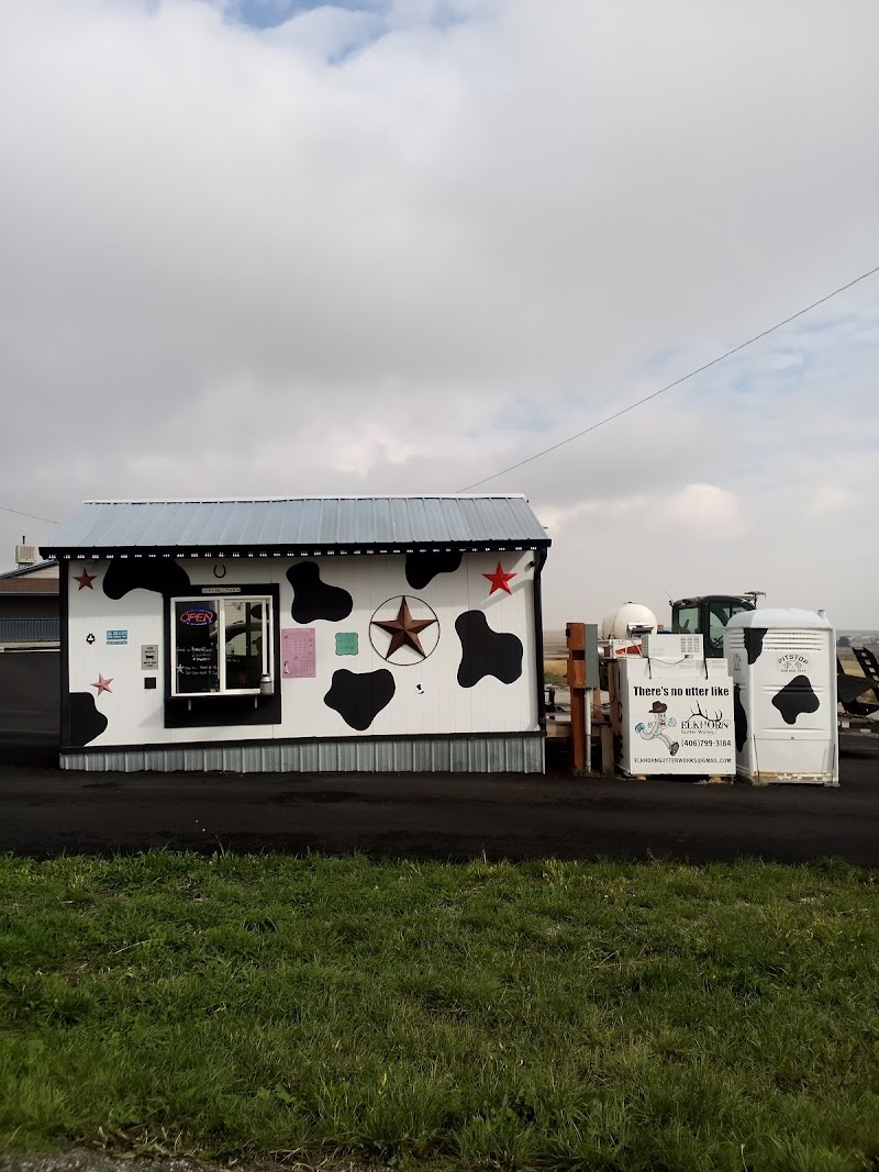 Cowgirls Espresso MT