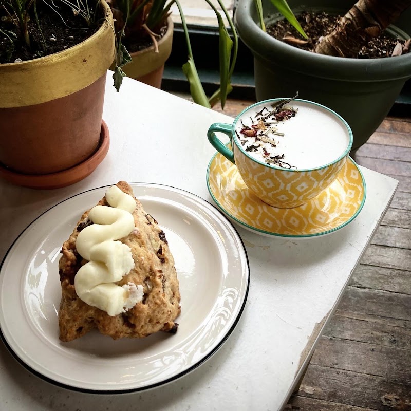 Scorpion Hearts Club