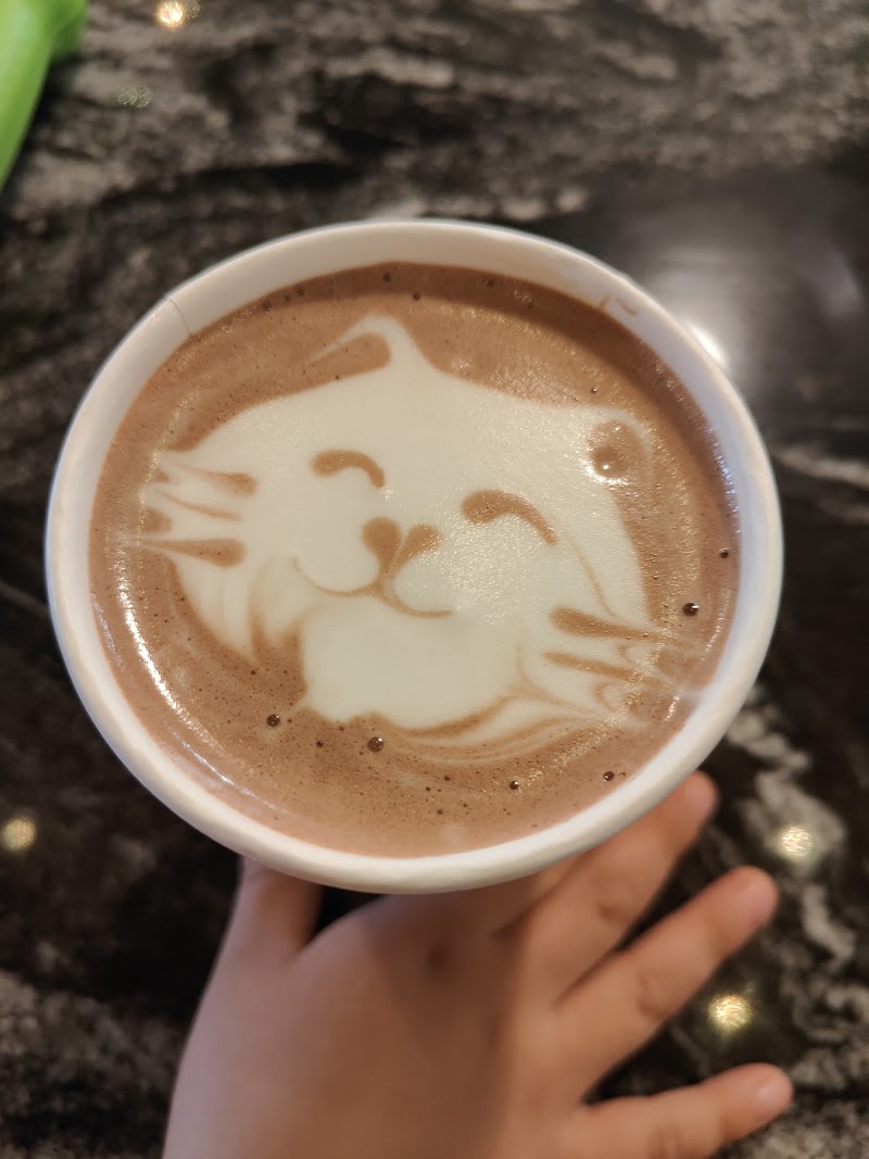 overwinter coffee - williamsville