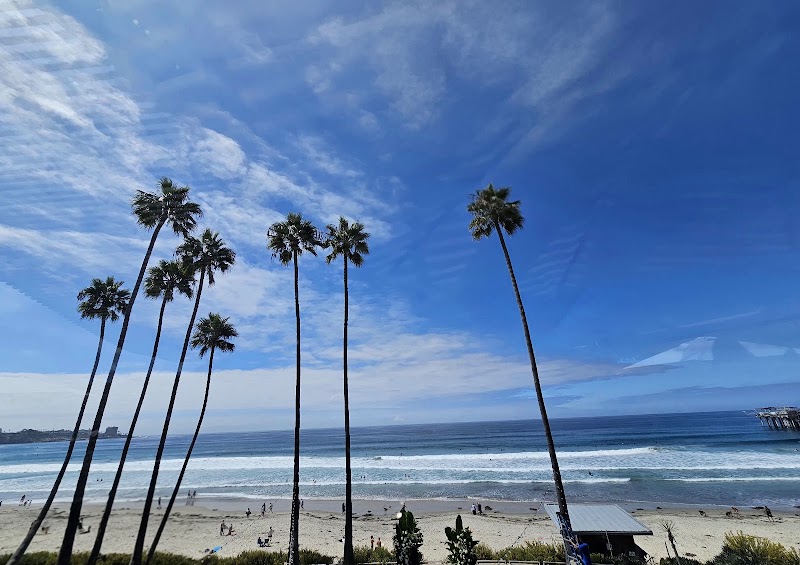 Caroline's Seaside Cafe by Giuseppe