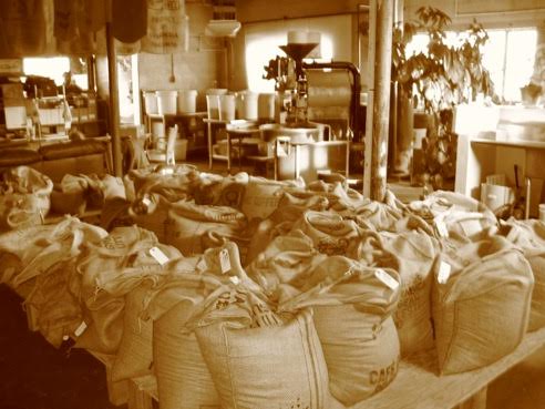 High Rise Coffee Roasters