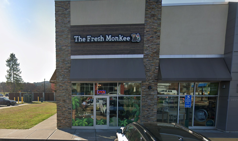 Fresh Monkee - Glastonbury