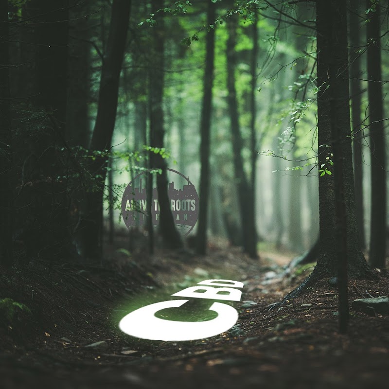 Above The Roots Michigan