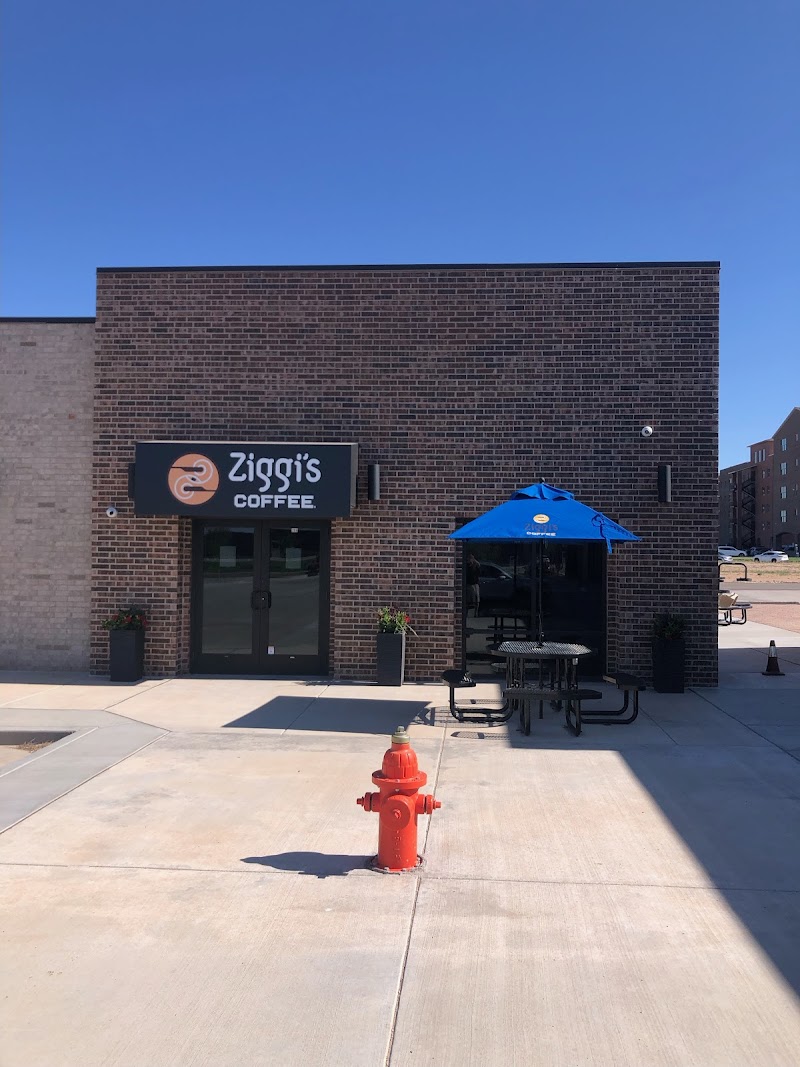 Ziggi's Coffee