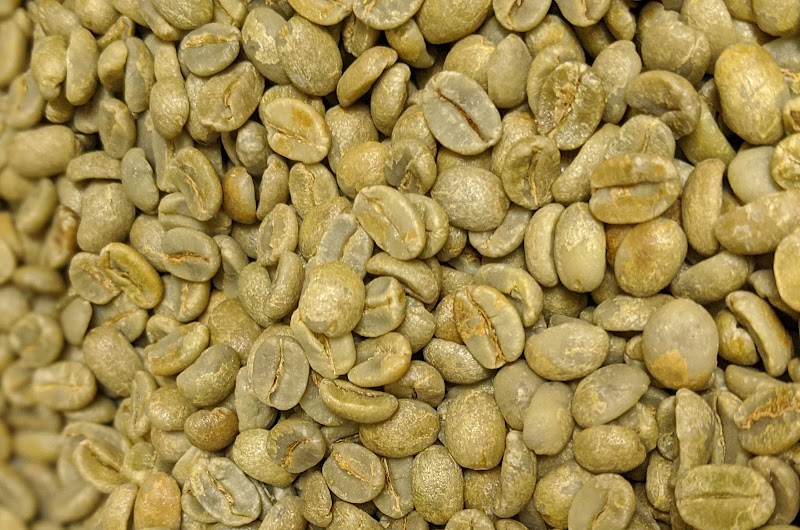 Kapeh Utz Specialty Green Coffee Importing