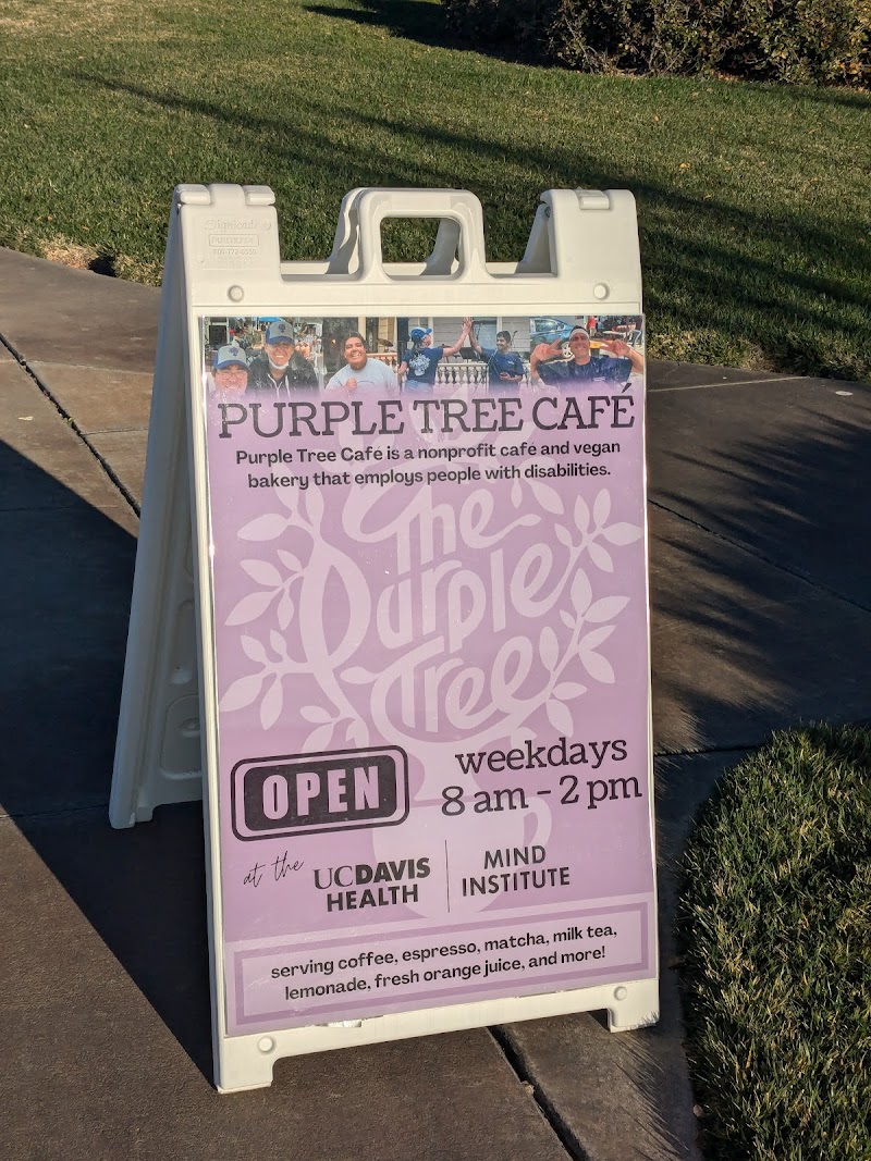 Purple Tree Cafe