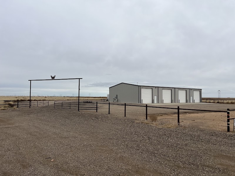 Golden Creation Coffee