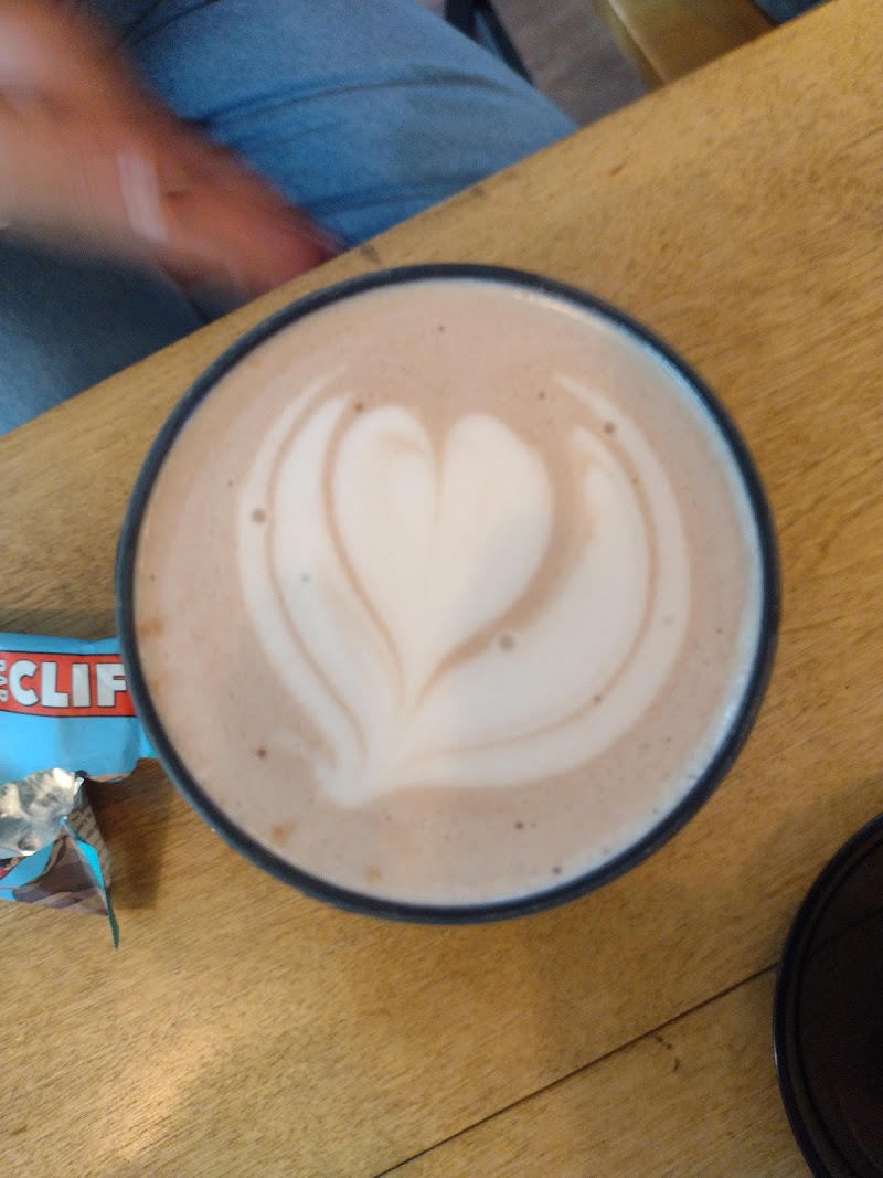 The Rose Room at Logee’s 