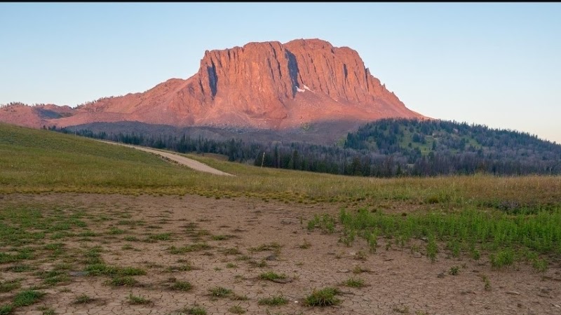 Black Butte Coffee Co.