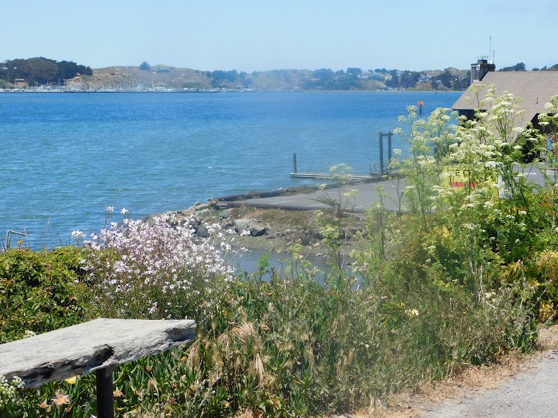 Captain Davey’s Coffee and Ice Cream