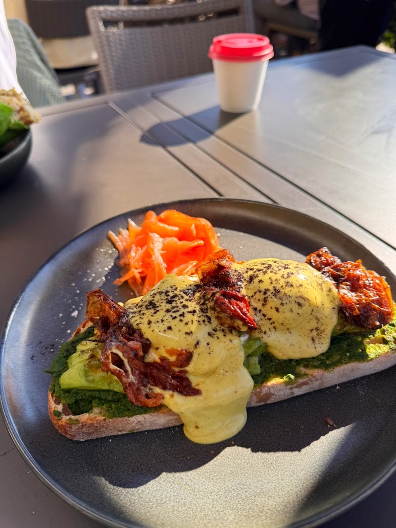 Parakeet Cafe - Newport Beach