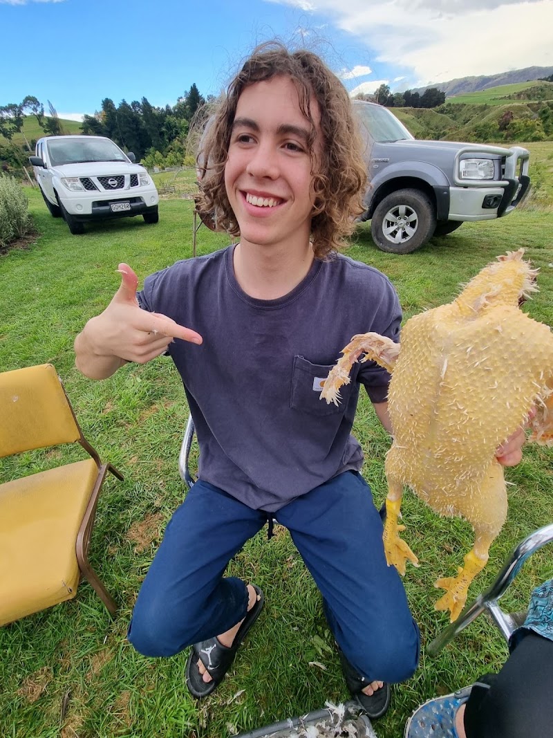 Chena Ridge Expresso Yourself