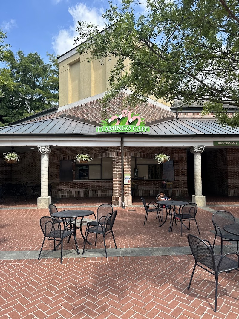 Flamingo Café