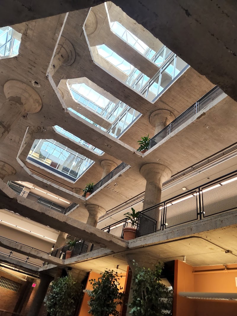 Cafe 388 by Stray Dog