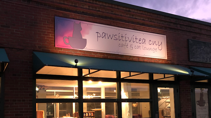 Pawsitivitea CNY Cafe & Cat Lounge