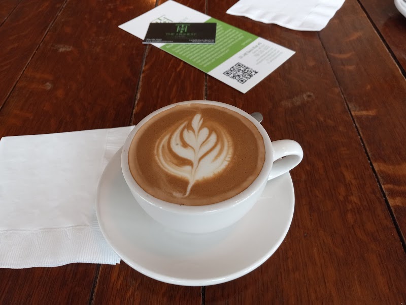 Steampunk Coffee Roasters/Papi y Papi