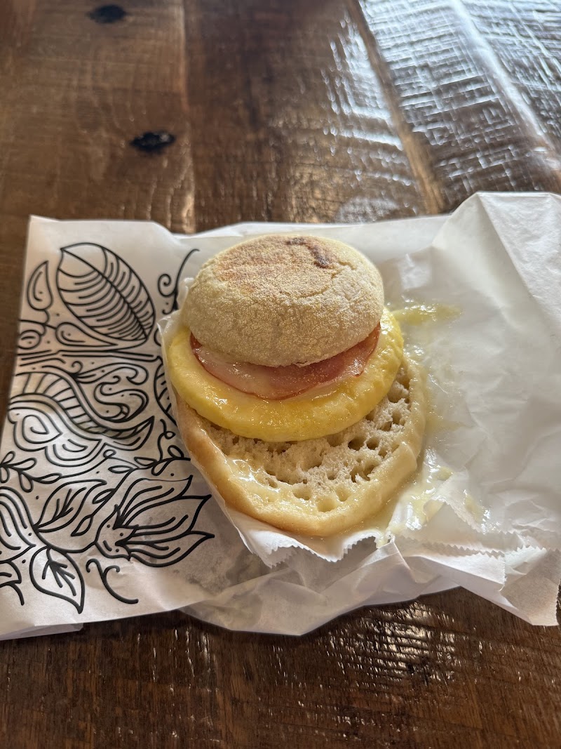 Foxtail Coffee - Legacy Village Drive