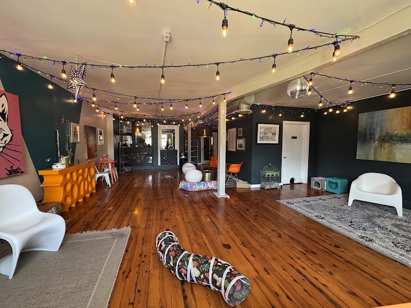 Mac Tabby Cat Cafe - Charlotte