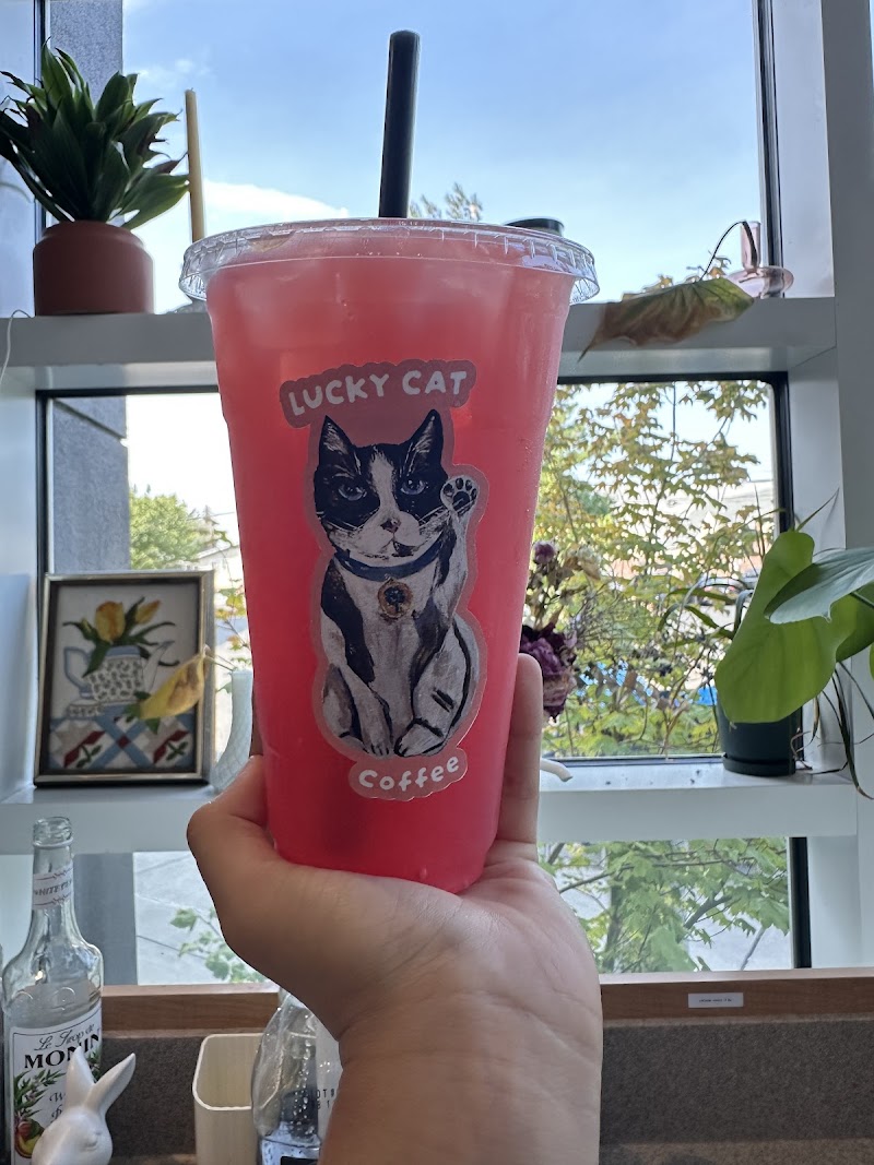 Lucky Cat Coffee