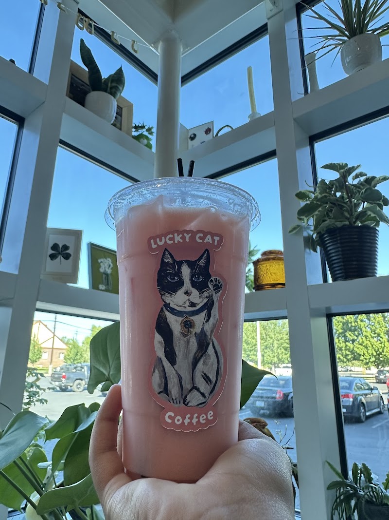 Lucky Cat Coffee