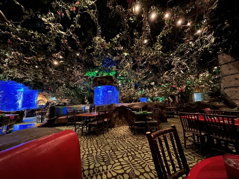 Rainforest Cafe