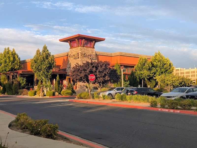 Lazy Dog Restaurant & Bar