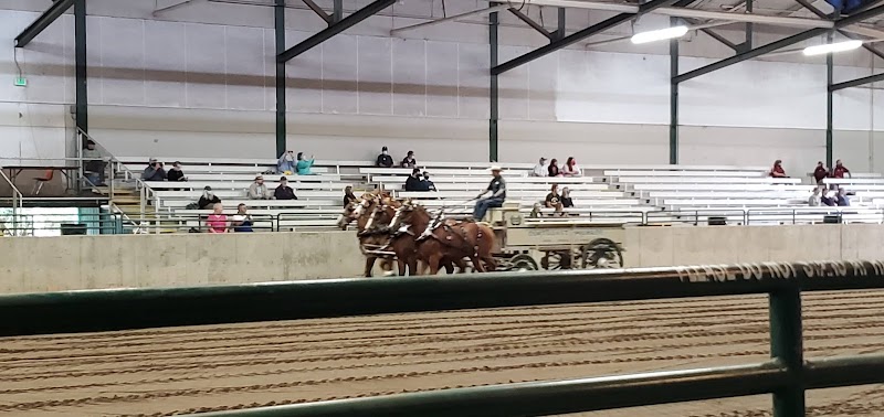 Bean Hut Espresso - Agriplex