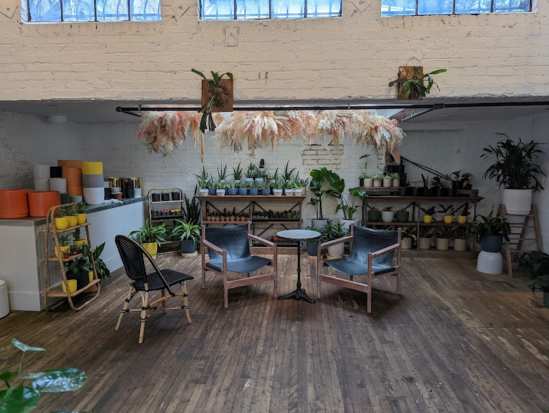 PlantShed - New York, NY | joe coffee