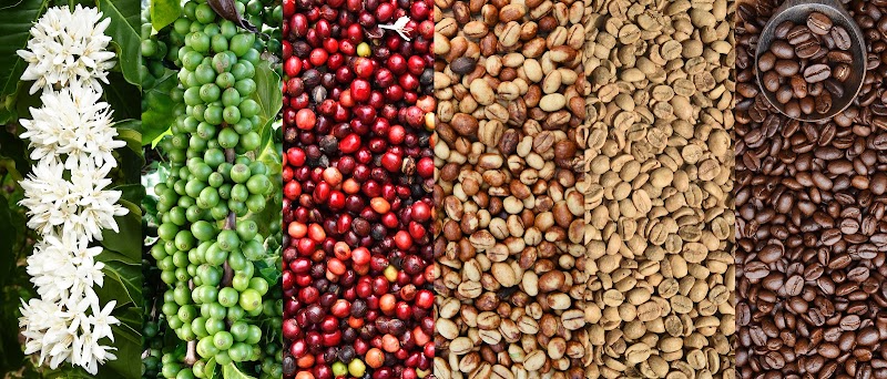 Fabiano’s Coffee Roasters