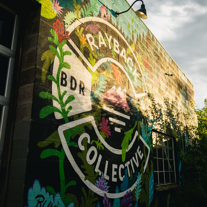 Rayback Collective