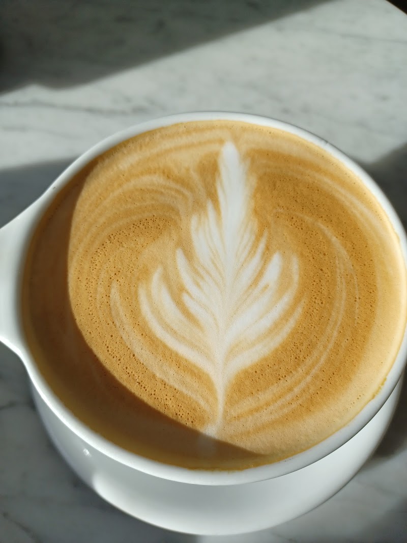 Harless + Hugh Coffee