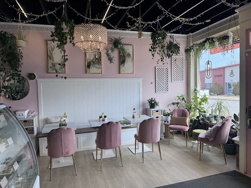 Sugar 'n Spice Cheesecakes & Coffee