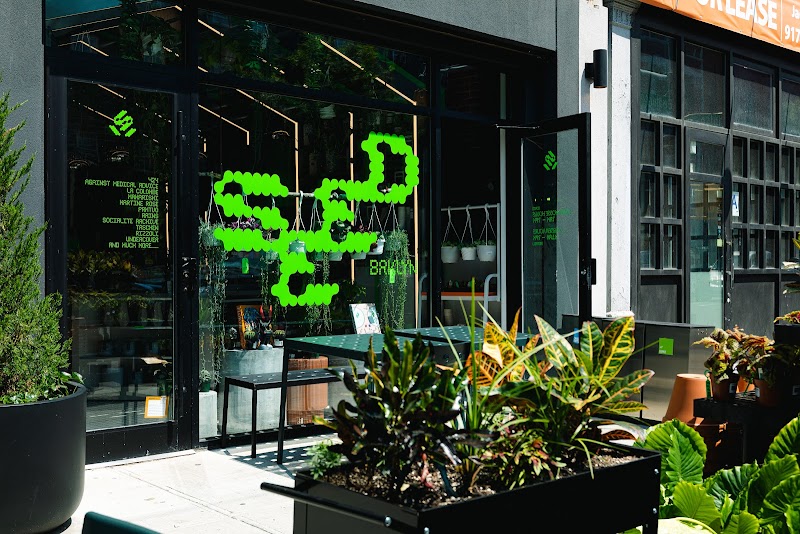 Greenhouse Café at Seed Brklyn