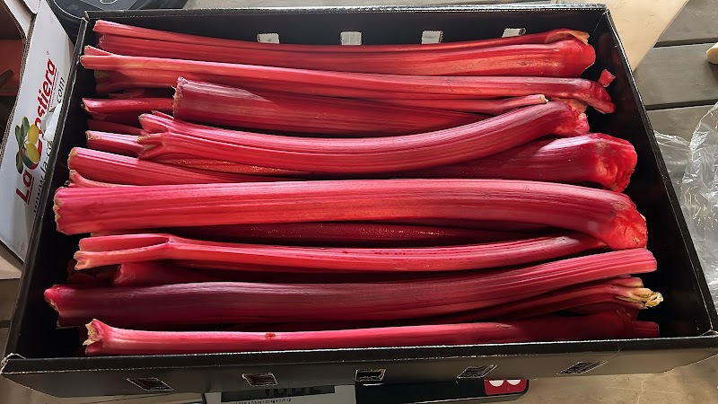 Strega Provisions, LLC