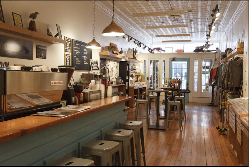 Great Blue Heron Outdoors