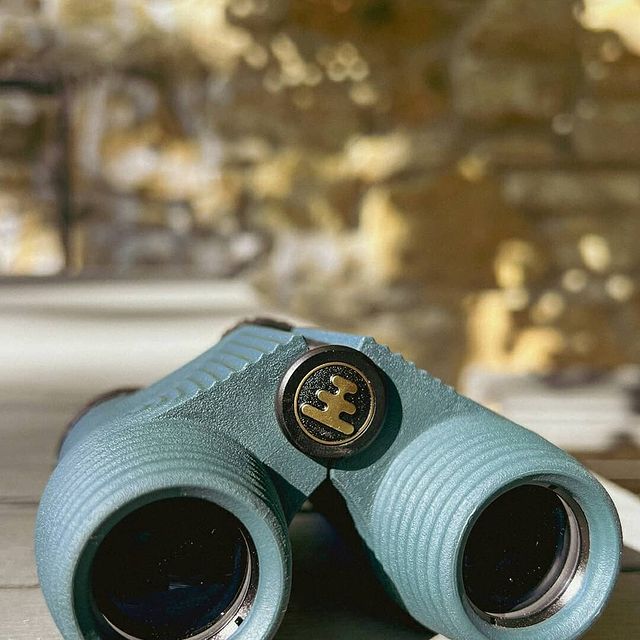 Great Blue Heron Outdoors