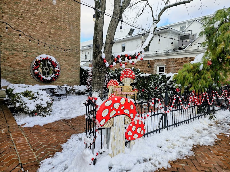 Wolf's Ridge Brewing