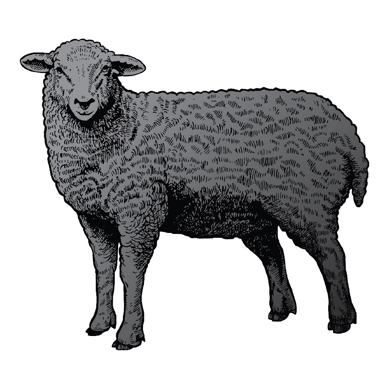 Black Sheep Brasserie