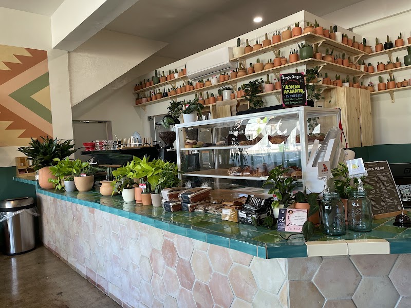 Super Domestic Coffee- Venice